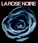 La Rose Noir